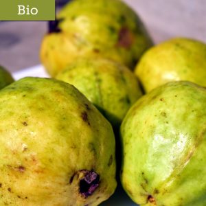 Guayaba - GOPA