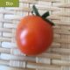 Tomate Cherry - GOPA