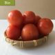 Tomate Chonto - GOPA