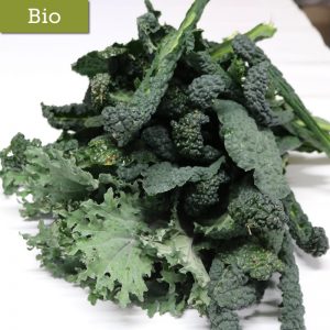 Kale - GOPA